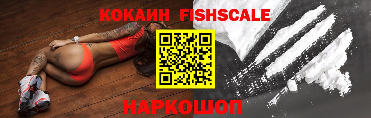 КОКАИН VHQ  КОКАИН Fish Scale  Вход с VPN  Заводоуковск 