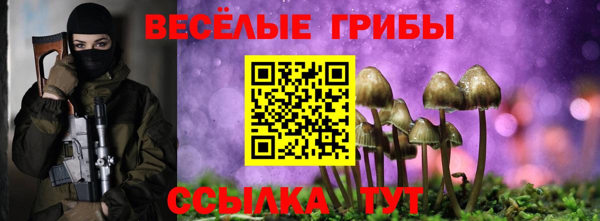 Галлюциногенные грибы мухоморы  Вход с VPN  Заводоуковск 