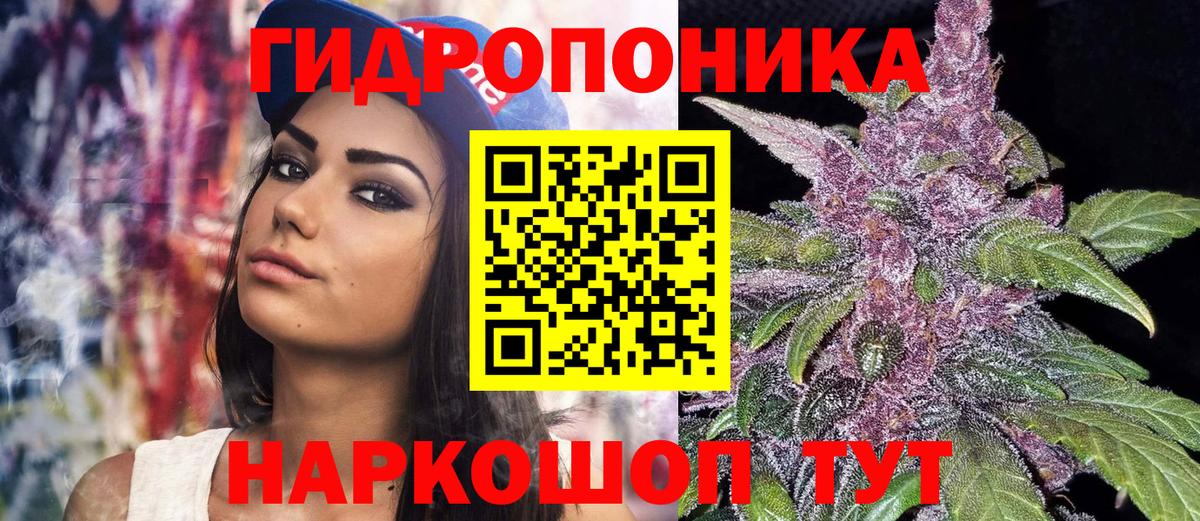 Шишки марихуана OG Kush Заводоуковск